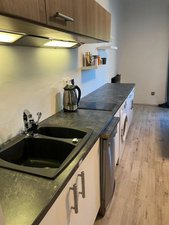 Large 3 Bedroom Apartment With City Skyline View Karlsbad Eksteriør billede